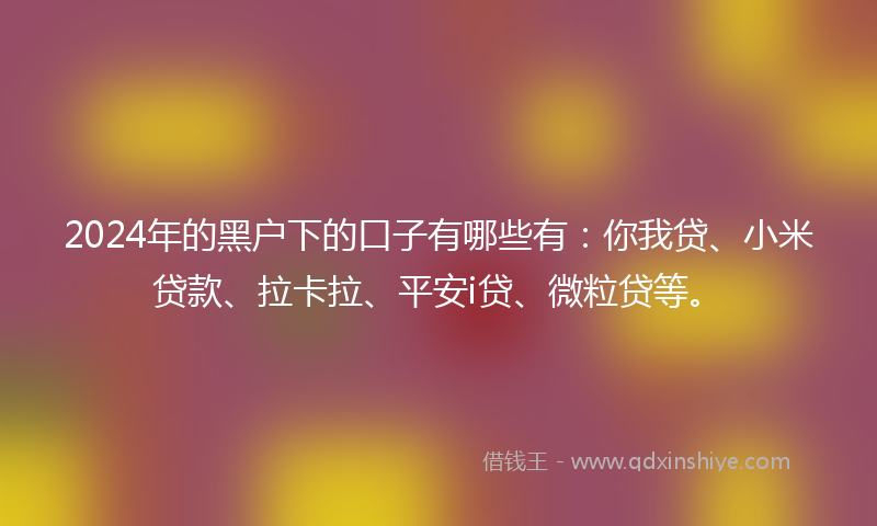 2024年的黑户下的口子有哪些有：你我贷、小米贷款、拉卡拉、平安i贷、微粒贷等。