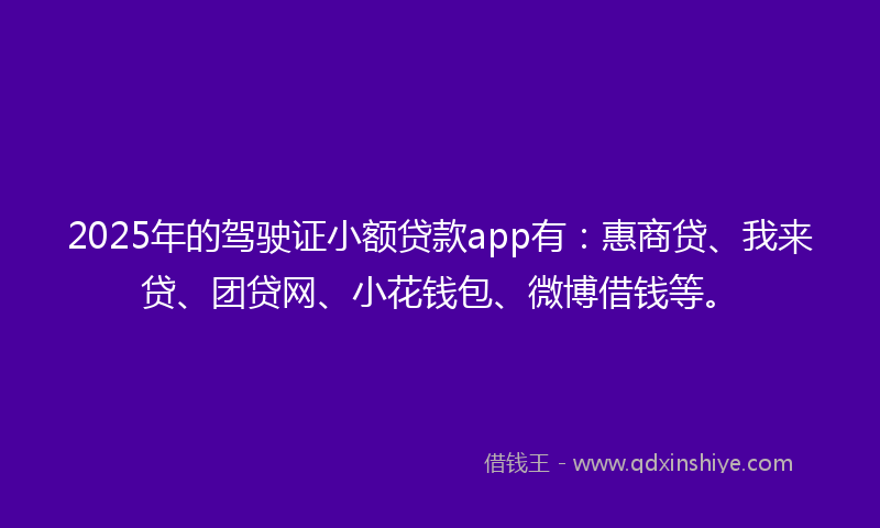 2025年的驾驶证小额贷款app有：惠商贷、我来贷、团贷网、小花钱包、微博借钱等。