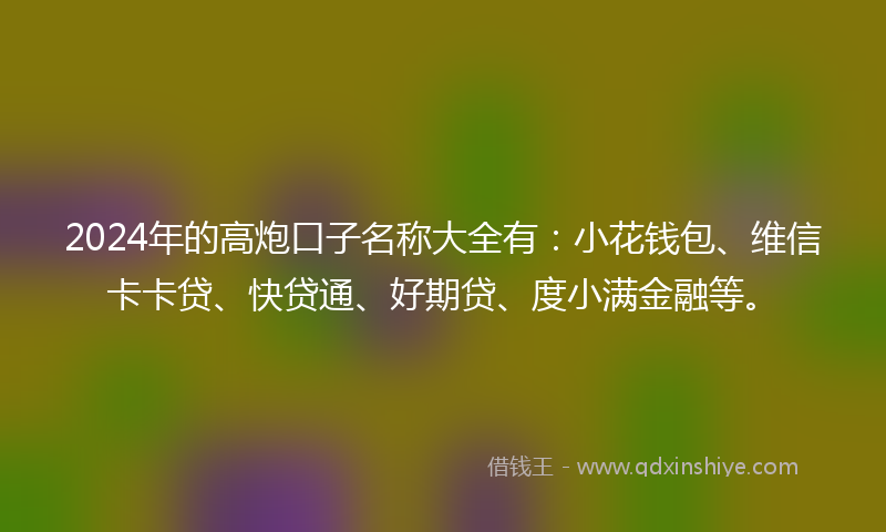 2024年的高炮口子名称大全有：小花钱包、维信卡卡贷、快贷通、好期贷、度小满金融等。