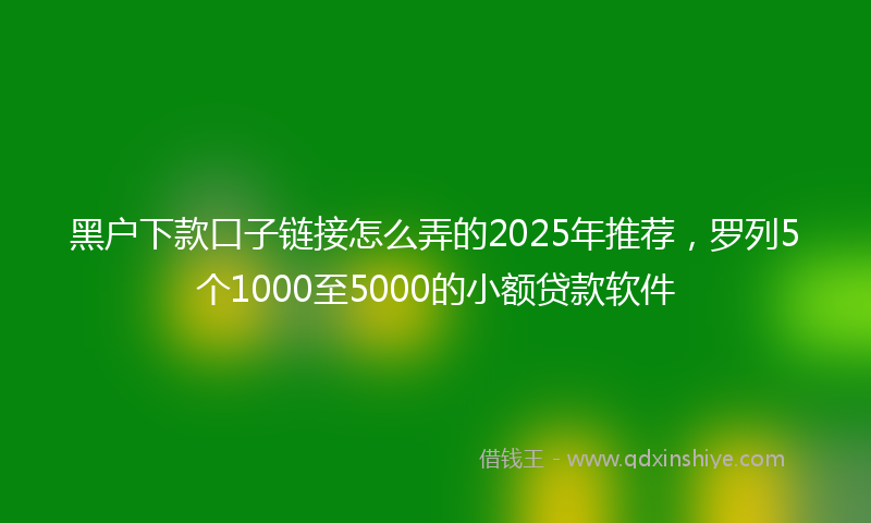 黑户下款口子链接怎么弄的2025年推荐，罗列5个1000至5000的小额贷款软件