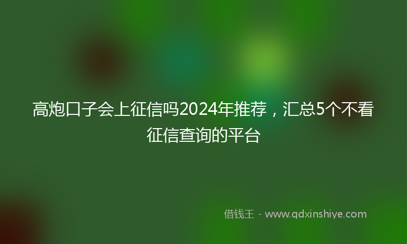 高炮口子会上征信吗2024年推荐，汇总5个不看征信查询的平台