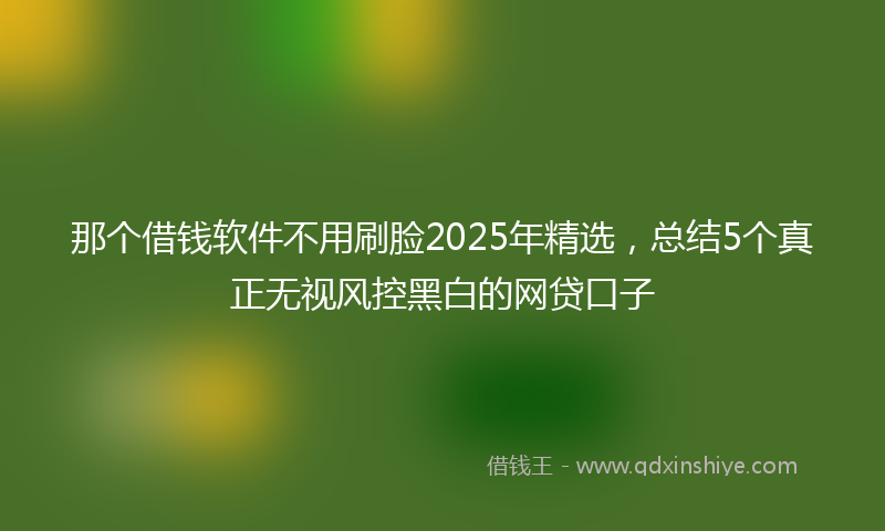 那个借钱软件不用刷脸2025年精选，总结5个真正无视风控黑白的网贷口子