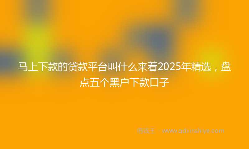 马上下款的贷款平台叫什么来着2025年精选，盘点五个黑户下款口子