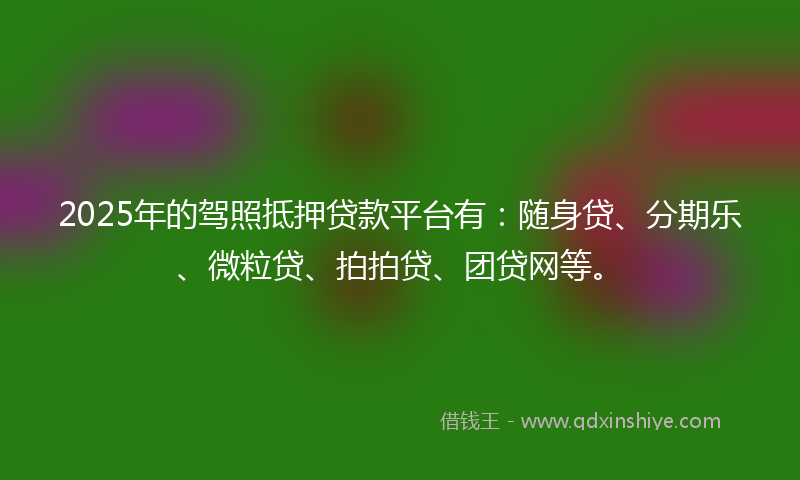 2025年的驾照抵押贷款平台有：随身贷、分期乐、微粒贷、拍拍贷、团贷网等。