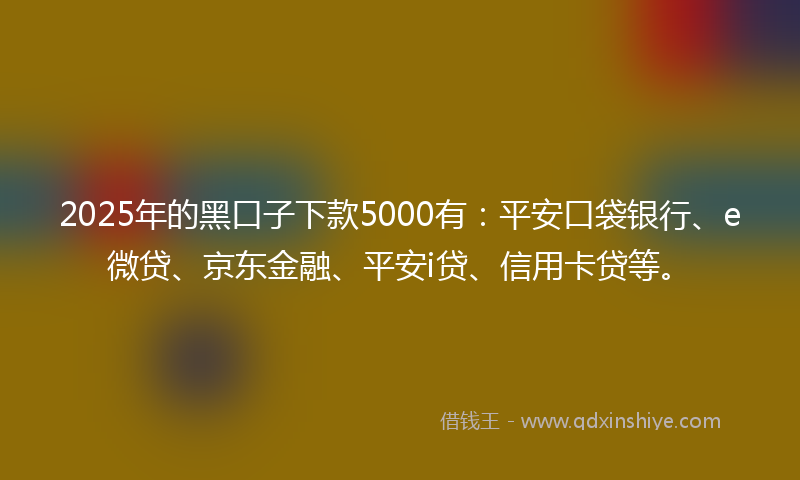 2025年的黑口子下款5000有：平安口袋银行、e微贷、京东金融、平安i贷、信用卡贷等。