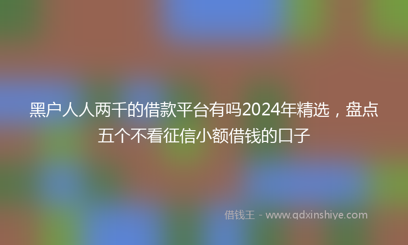 黑户人人两千的借款平台有吗2024年精选，盘点五个不看征信小额借钱的口子