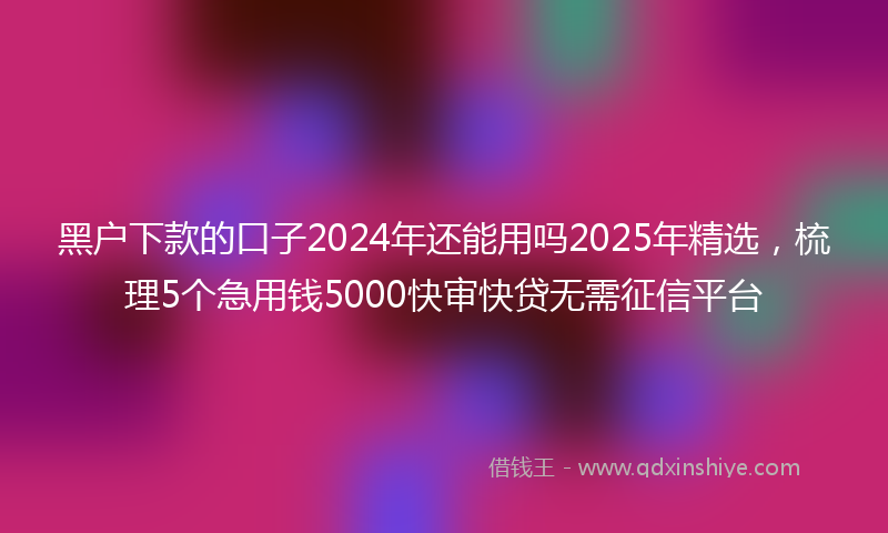 黑户下款的口子2024年还能用吗2025年精选，梳理5个急用钱5000快审快贷无需征信平台