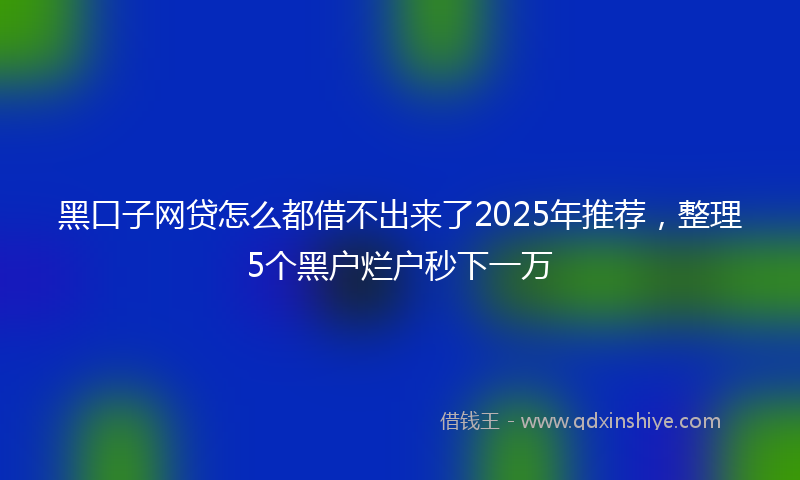 黑口子网贷怎么都借不出来了2025年推荐，整理5个黑户烂户秒下一万