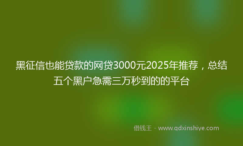 黑征信也能贷款的网贷3000元2025年推荐，总结五个黑户急需三万秒到的的平台