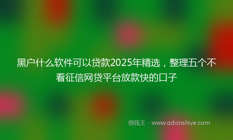 黑户什么软件可以贷款2025年精选，整理五个不看征信网贷平台放款快的口子