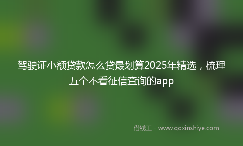 驾驶证小额贷款怎么贷最划算2025年精选，梳理五个不看征信查询的app