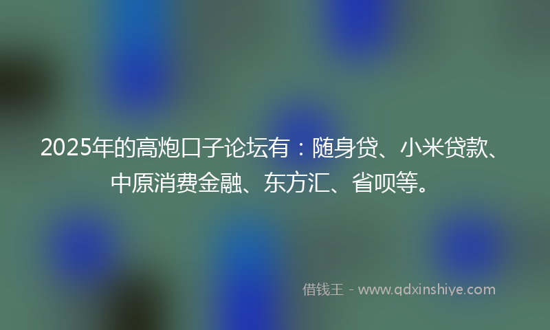 2025年的高炮口子论坛有：随身贷、小米贷款、中原消费金融、东方汇、省呗等。