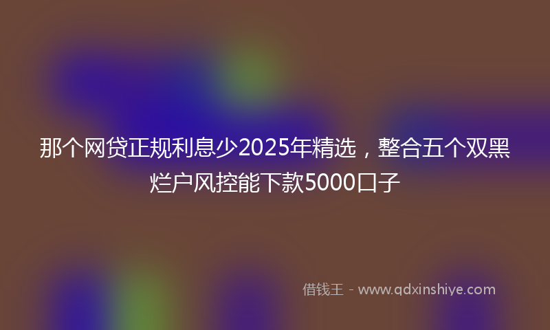 那个网贷正规利息少2025年精选，整合五个双黑烂户风控能下款5000口子