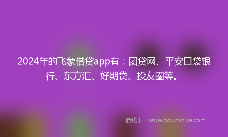 2024年的飞象借贷app有：团贷网、平安口袋银行、东方汇、好期贷、投友圈等。