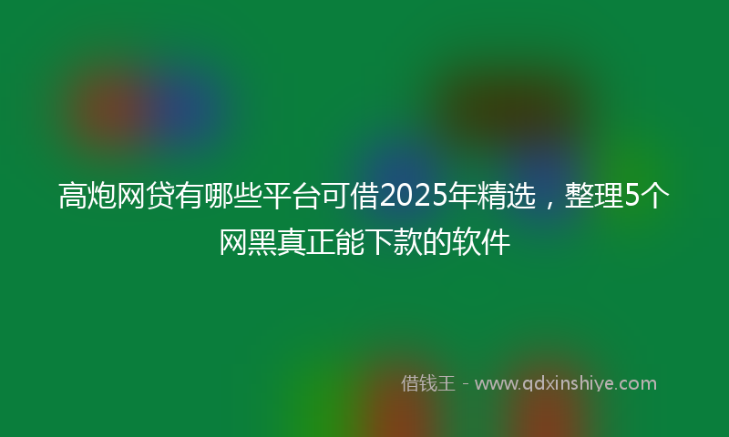 高炮网贷有哪些平台可借2025年精选，整理5个网黑真正能下款的软件