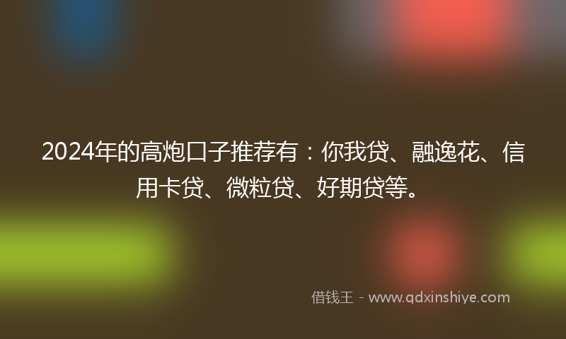 2024年的高炮口子推荐有：你我贷、融逸花、信用卡贷、微粒贷、好期贷等。