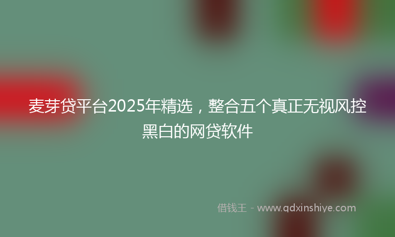 麦芽贷平台2025年精选，整合五个真正无视风控黑白的网贷软件