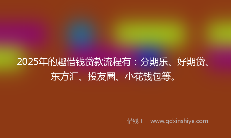 2025年的趣借钱贷款流程有：分期乐、好期贷、东方汇、投友圈、小花钱包等。