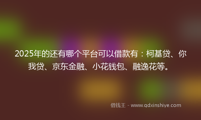 2025年的还有哪个平台可以借款有：柯基贷、你我贷、京东金融、小花钱包、融逸花等。