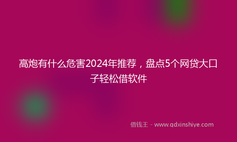 高炮有什么危害2024年推荐，盘点5个网贷大口子轻松借软件