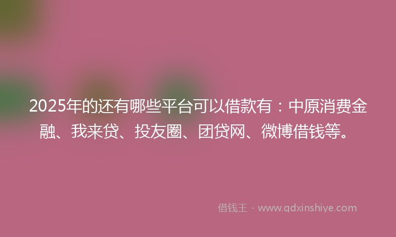 2025年的还有哪些平台可以借款有：中原消费金融、我来贷、投友圈、团贷网、微博借钱等。