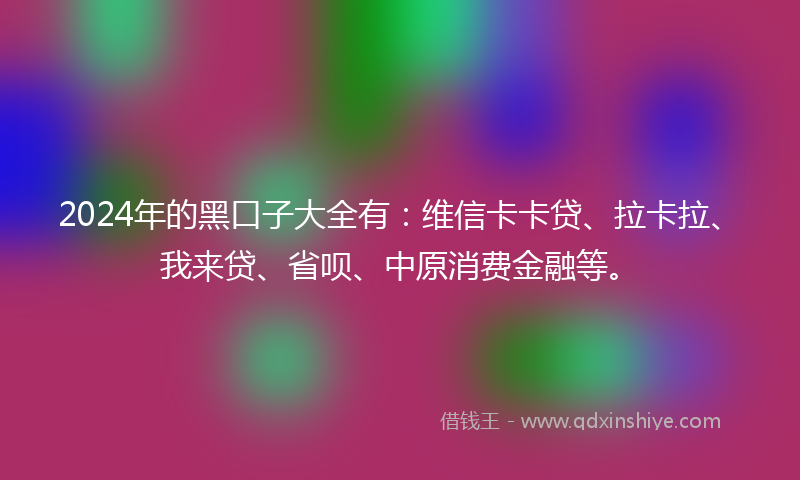 2024年的黑口子大全有：维信卡卡贷、拉卡拉、我来贷、省呗、中原消费金融等。