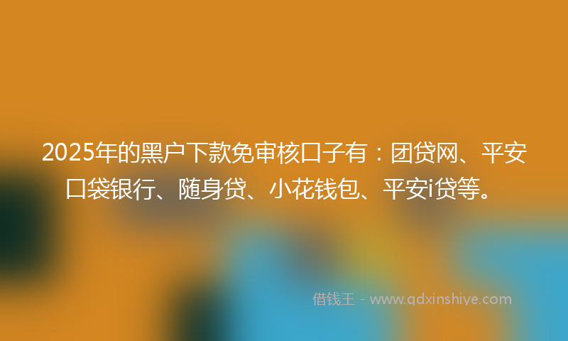 2025年的黑户下款免审核口子有：团贷网、平安口袋银行、随身贷、小花钱包、平安i贷等。
