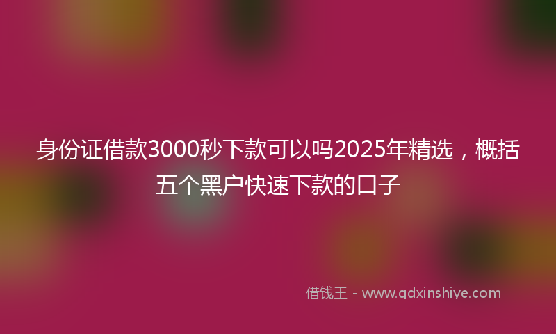 身份证借款3000秒下款可以吗2025年精选，概括五个黑户快速下款的口子