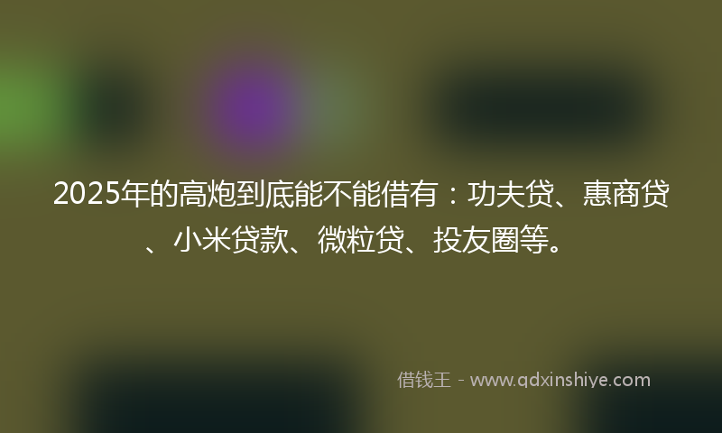 2025年的高炮到底能不能借有：功夫贷、惠商贷、小米贷款、微粒贷、投友圈等。