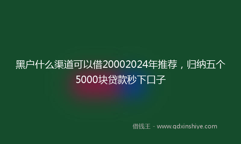 黑户什么渠道可以借20002024年推荐，归纳五个5000块贷款秒下口子