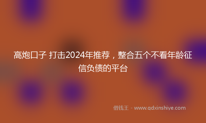 高炮口子 打击2024年推荐，整合五个不看年龄征信负债的平台