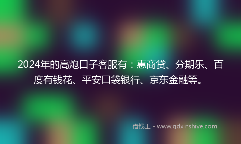 2024年的高炮口子客服有：惠商贷、分期乐、百度有钱花、平安口袋银行、京东金融等。