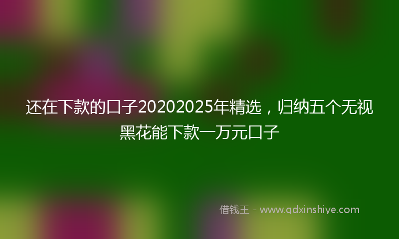 还在下款的口子20202025年精选，归纳五个无视黑花能下款一万元口子