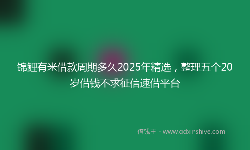 锦鲤有米借款周期多久2025年精选，整理五个20岁借钱不求征信速借平台