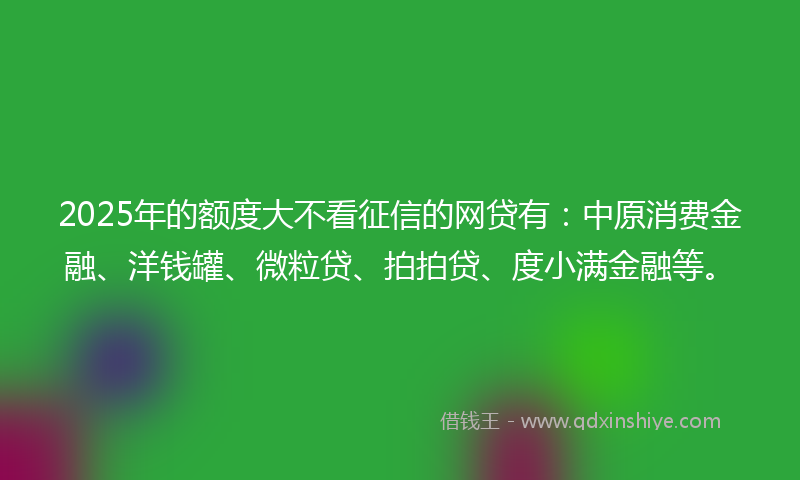 2025年的额度大不看征信的网贷有：中原消费金融、洋钱罐、微粒贷、拍拍贷、度小满金融等。