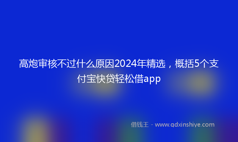 高炮审核不过什么原因2024年精选，概括5个支付宝快贷轻松借app