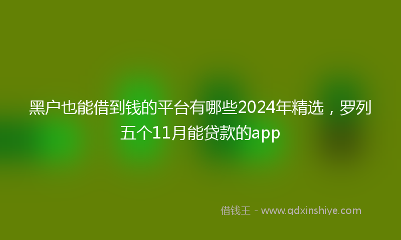 黑户也能借到钱的平台有哪些2024年精选，罗列五个11月能贷款的app