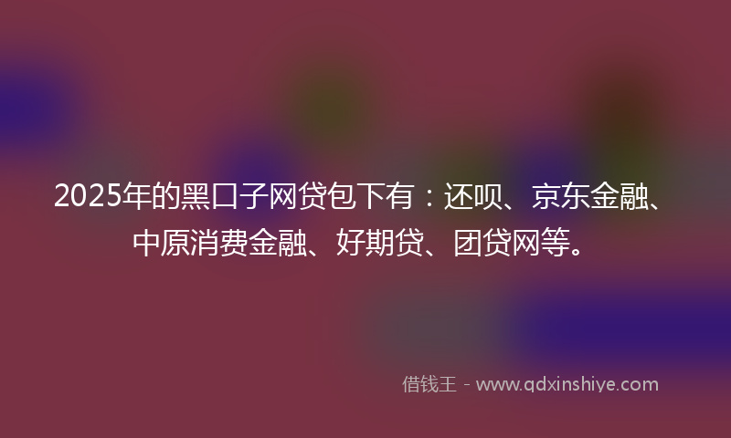 2025年的黑口子网贷包下有：还呗、京东金融、中原消费金融、好期贷、团贷网等。