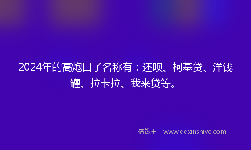 2024年的高炮口子名称有：还呗、柯基贷、洋钱罐、拉卡拉、我来贷等。