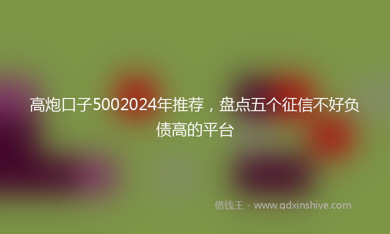 高炮口子5002024年推荐，盘点五个征信不好负债高的平台