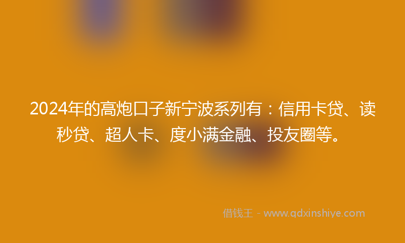 2024年的高炮口子新宁波系列有：信用卡贷、读秒贷、超人卡、度小满金融、投友圈等。