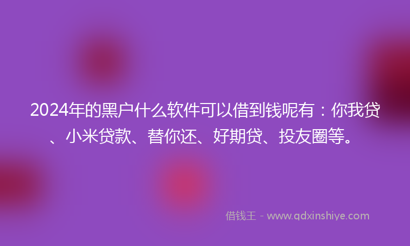 2024年的黑户什么软件可以借到钱呢有：你我贷、小米贷款、替你还、好期贷、投友圈等。