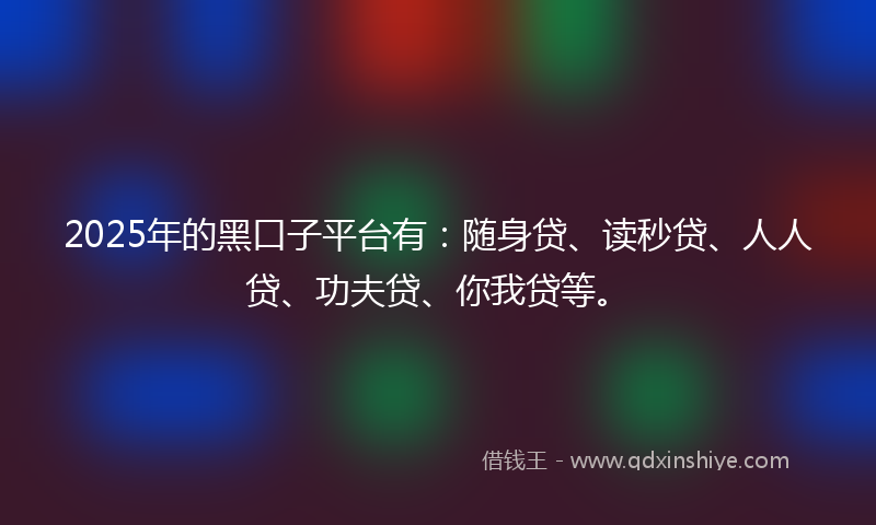 2025年的黑口子平台有：随身贷、读秒贷、人人贷、功夫贷、你我贷等。