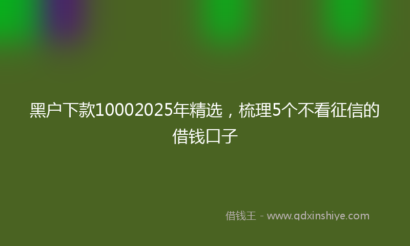 黑户下款10002025年精选，梳理5个不看征信的借钱口子
