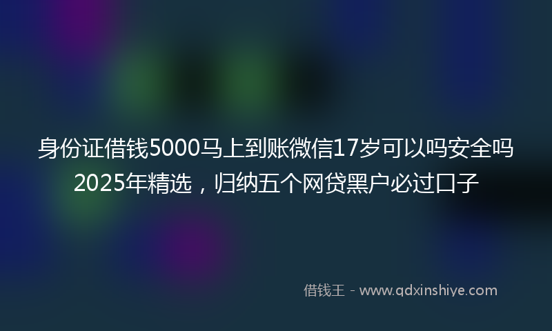 身份证借钱5000马上到账微信17岁可以吗安全吗2025年精选，归纳五个网贷黑户必过口子