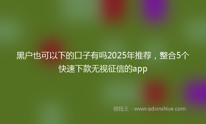 黑户也可以下的口子有吗2025年推荐，整合5个快速下款无视征信的app