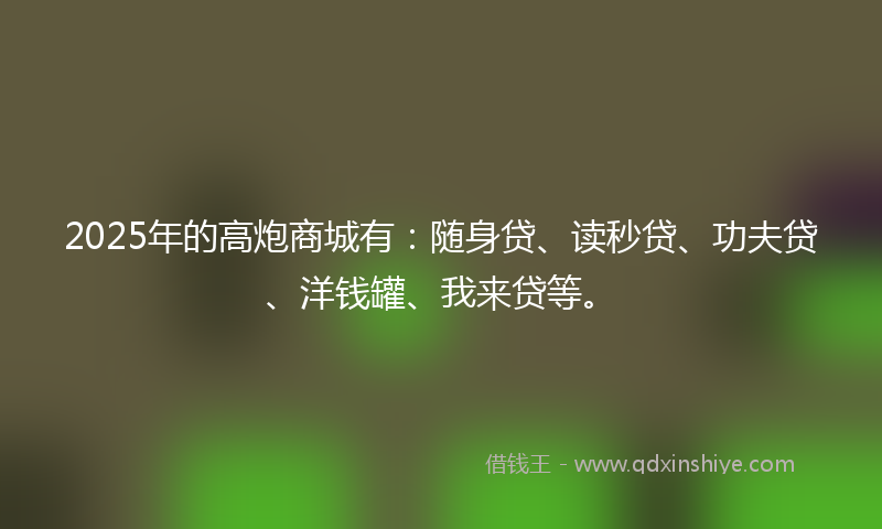 2025年的高炮商城有：随身贷、读秒贷、功夫贷、洋钱罐、我来贷等。