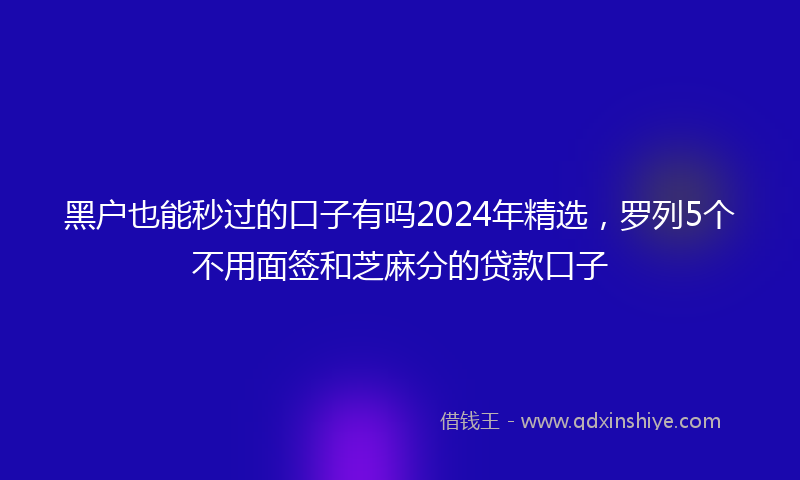 黑户也能秒过的口子有吗2024年精选，罗列5个不用面签和芝麻分的贷款口子