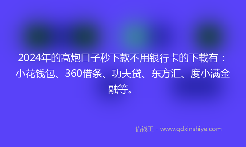2024年的高炮口子秒下款不用银行卡的下载有：小花钱包、360借条、功夫贷、东方汇、度小满金融等。