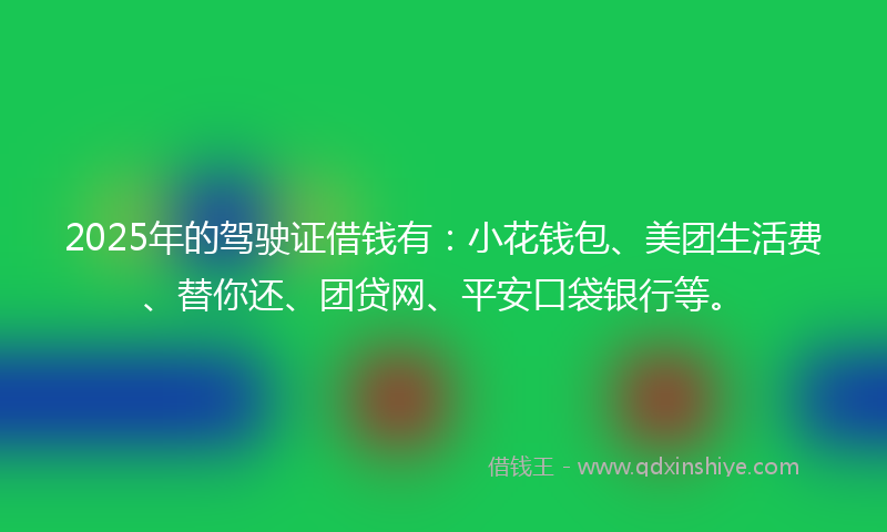 2025年的驾驶证借钱有：小花钱包、美团生活费、替你还、团贷网、平安口袋银行等。
